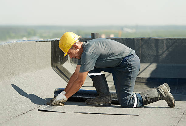 Best Specialized Insulation Services in Monrovia, MD