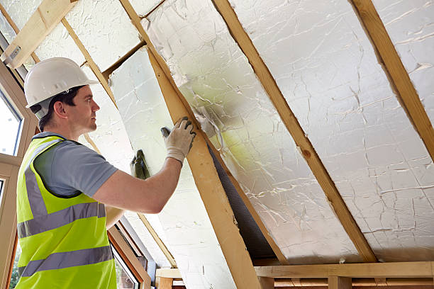 Best Geographic-Specific Insulation Services in Monrovia, MD