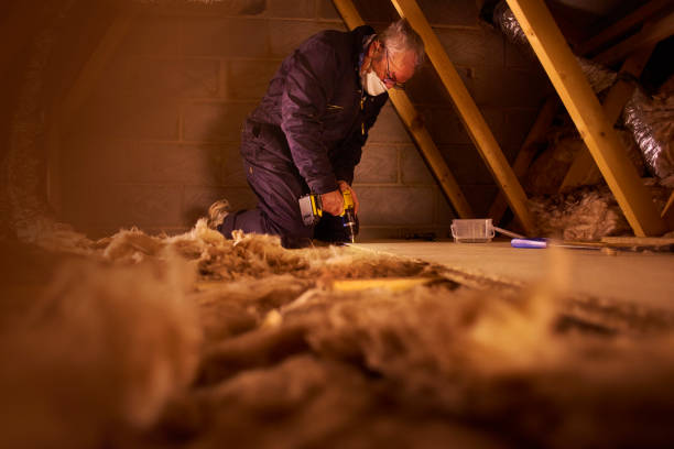Best DIY Insulation Kits and Guidance in Monrovia, MD